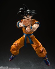 Sh Figuarts Kong Studio DBZ Dragon ball Super Vegeta Angola