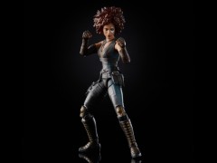 X-Men 20th Anniversary Marvel Legends Marvel's Domino