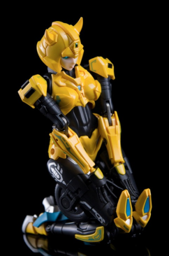 Collection Space CS-01 Little Bee