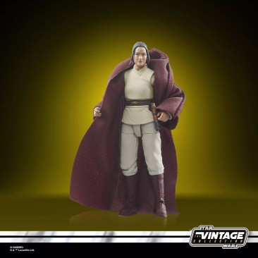 Star Wars The Vintage Collection The Acolyte Jedi Master Indara