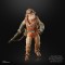 Star Wars The Black Series 6" Kuiil [The Mandalorian]